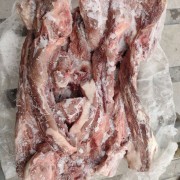 母猪尾骨