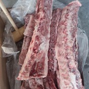 0601多肉背骨
