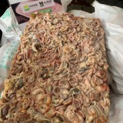 鸡肠