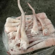 青猪长尾