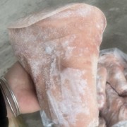 前肘
