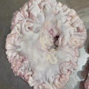 肥猪花油小肠油