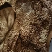 牛肚