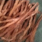 4号筋