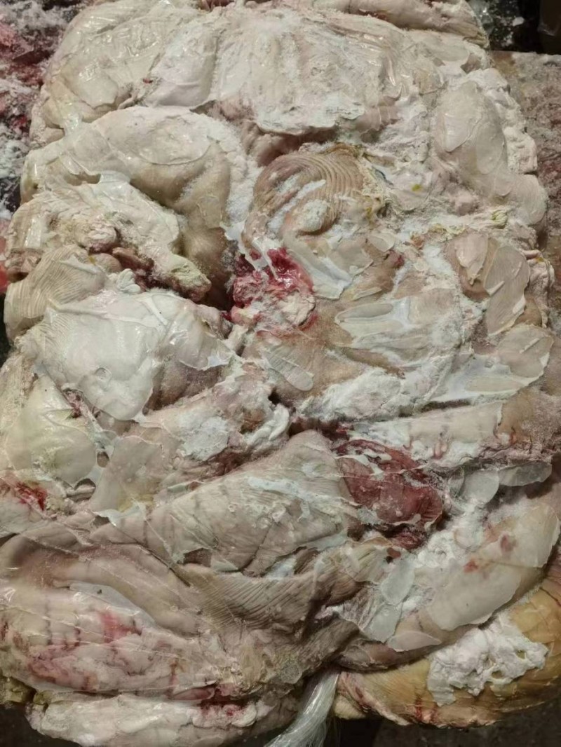 母猪肚子批发吉林长春市母猪肚子价格_肉交所