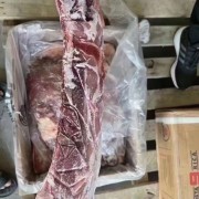 哥斯达黎加9厂