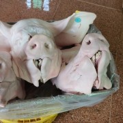母猪头