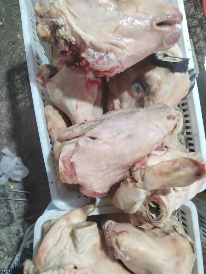 时间:4个月所在地区:内蒙古通辽市联系人:丁可心供应商信息安全提示