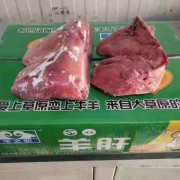 羊肝