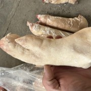 猪蹄肥猪