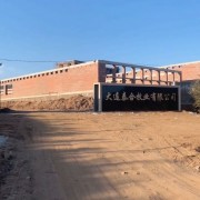 大肉食，公鸡