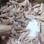 白俄050501