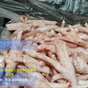 白俄牛肉鸡脚凤爪