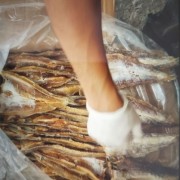 那哥鱼干