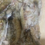 纯海捕大虾