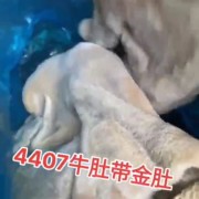 4407牛肚