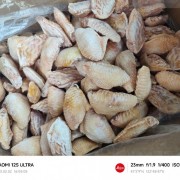 鸡翅中