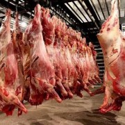 俄罗斯四分体牛肉
