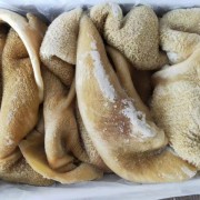 牛肚