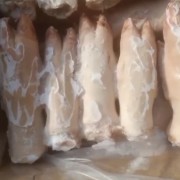 后蹄