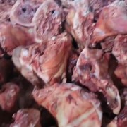 母猪二级无耳头