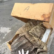 各类牛产品