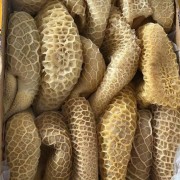 金钱肚
