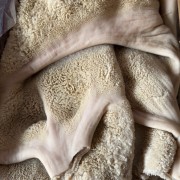 牛肚