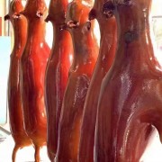 狗肉，活狗，白条