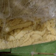大肠