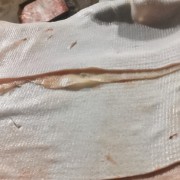 大皮