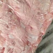 母猪去皮肚腩膘