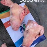 3603猪头