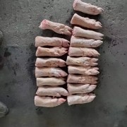 244W猪脚