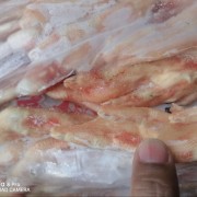 二级鸭掌