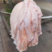 吊挂板油