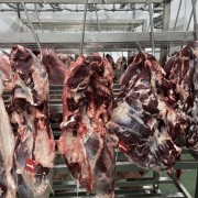 国产冻牛肉10吨