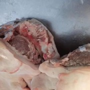 肥猪无耳