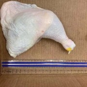 146边腿