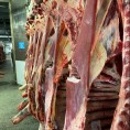 俄罗斯进口牛肉