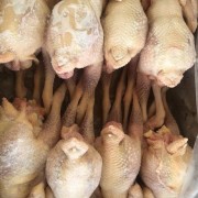 冻品三黄鸡
