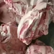 肥猪一级无耳头，