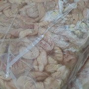 一级大肠