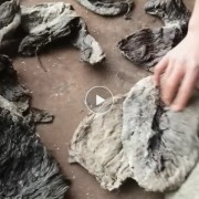 毛肚稀皮