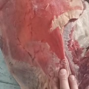 羊排