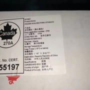 加拿大270A猪