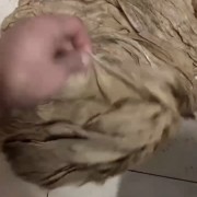 盐叶