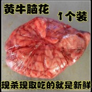 牛脑