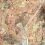 断小肠