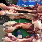 乌拉圭58厂牛腿
